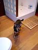 Bad mit Hund